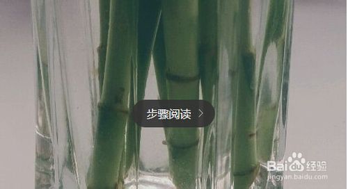 姘村吇瀵岃吹绔瑰吇孌栨柟娉曚笌娉ㄦ剰浜嬮」